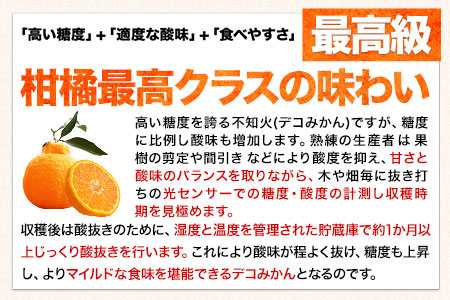 ご家庭用 デコみかん 約5kg 12～24玉前後《2027年2月上旬-4月上旬頃出荷》デコポン（不知火）と同品種 熊本県産 熊本県 長洲町 訳あり