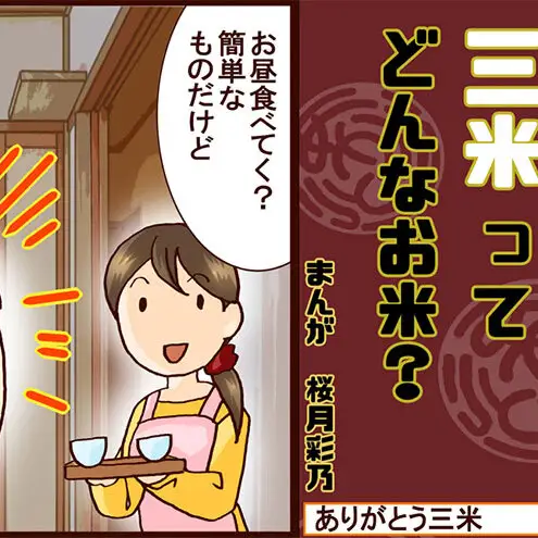 【先行予約 いのちの壱】【令和8年産】【定期便】2kg×12回 新潟産 いのちの壱 コンテスト受賞者の米 新潟県 田上町