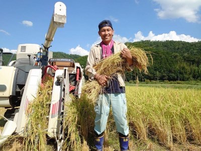 【令和7年産】丹波与作が作るいわやのお米 特別栽培米 5kg　丹波篠山産 こしひかり L003