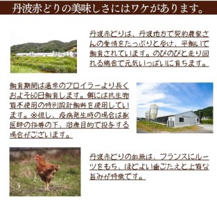 鶏肉 丹波赤どり ササミ 6kg 訳あり鶏肉