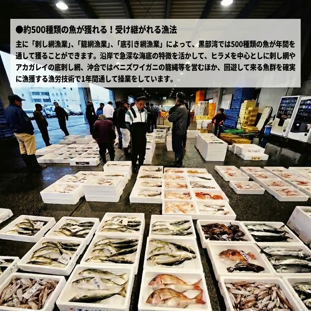 地魚昆布〆セット 産地直送 富山湾産 地魚昆布〆セット【4種×12回】【定期便】