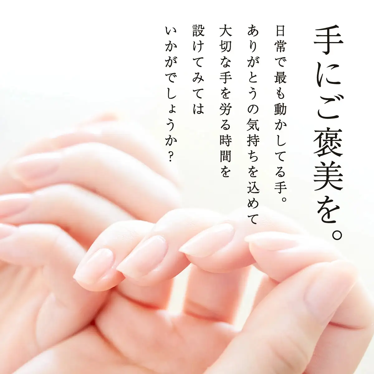 THE HERBS 香りのギフト（ ハンドケアミルク ・ フレグランスオイル ）