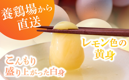 【家族に食べさせたい】平飼い 山もりたまご 20個 安心安全 おいしさに感動 【Craft Food Club】たまご 卵 高級卵 平飼い 飼料にこだわり 卵 生卵 鶏卵 卵