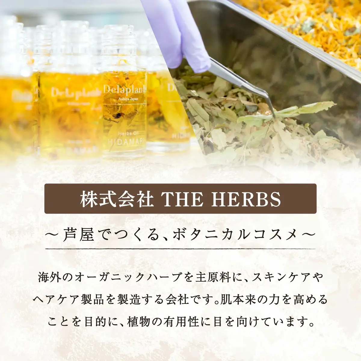 うねる・広がる・気になる髪のボリュームに 3ヶ月頭皮ケアセット THE HERBS