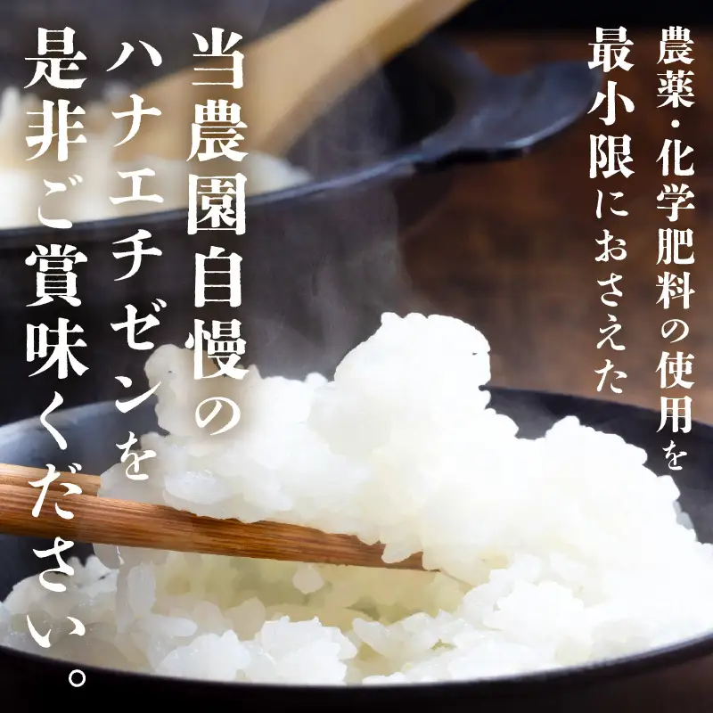 【先行予約】【令和8年産・新米】 ハナエチゼン20kg(5kg×4袋) ～本原農園からまごころコメて～（白米）【2026年9月上旬以降発送予定】 [D-8917_01]