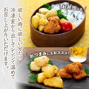 天ぷら 訳あり 食べ比べ 6袋 ( 220g × 各2袋 ) 天然イカの天ぷら