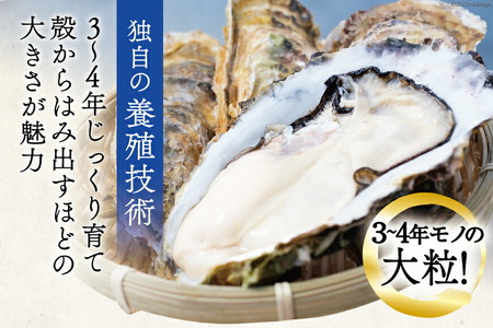 【期間限定発送】 TVで紹介！ 牡蠣 大粒 3～4年モノ 生食 殻付き牡蠣 約3kg(約9-12個入) 