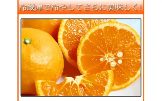 初夏のみかん　なつみ3kg　※2027年4月中旬頃～2027年4月下旬頃に順次発送予定（お届け日指定不可）【uot753A】