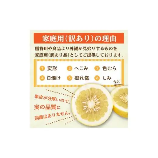  文旦 秀品 5kg 先行予約