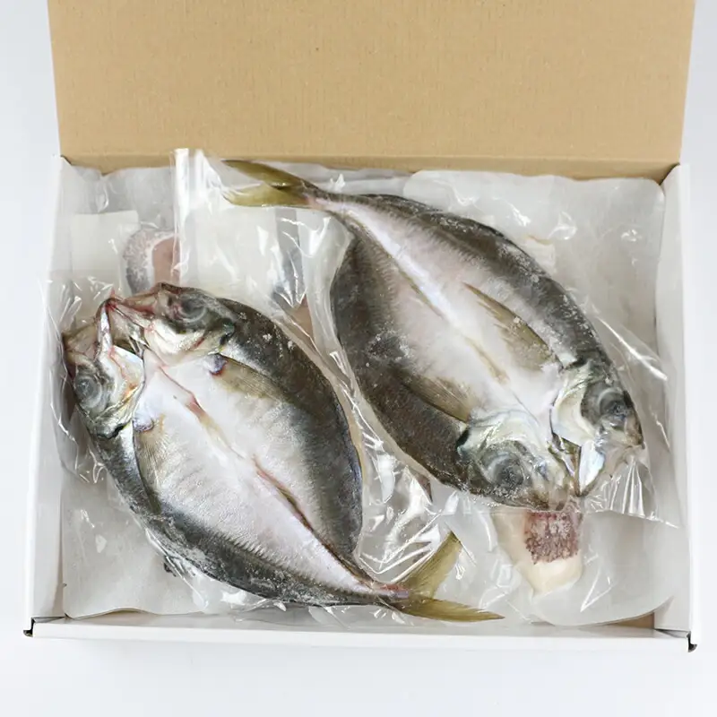 干物 【こもねっと】 一夜干し 干物セット 6枚 D010-008002