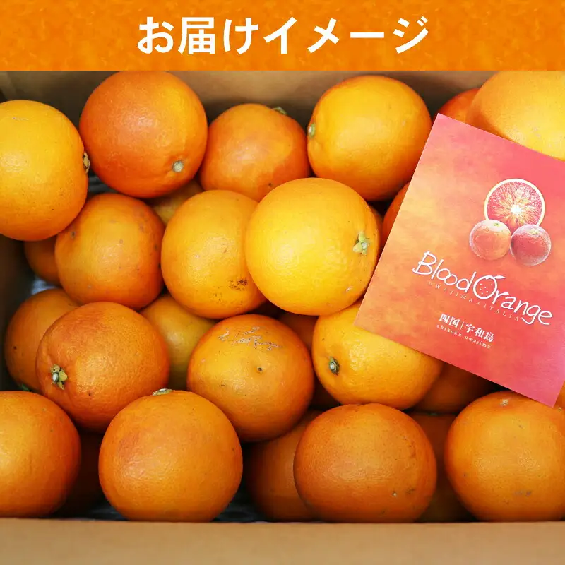 ブラッドオレンジ タロッコ 約 5kg JA オレンジ B020-009007