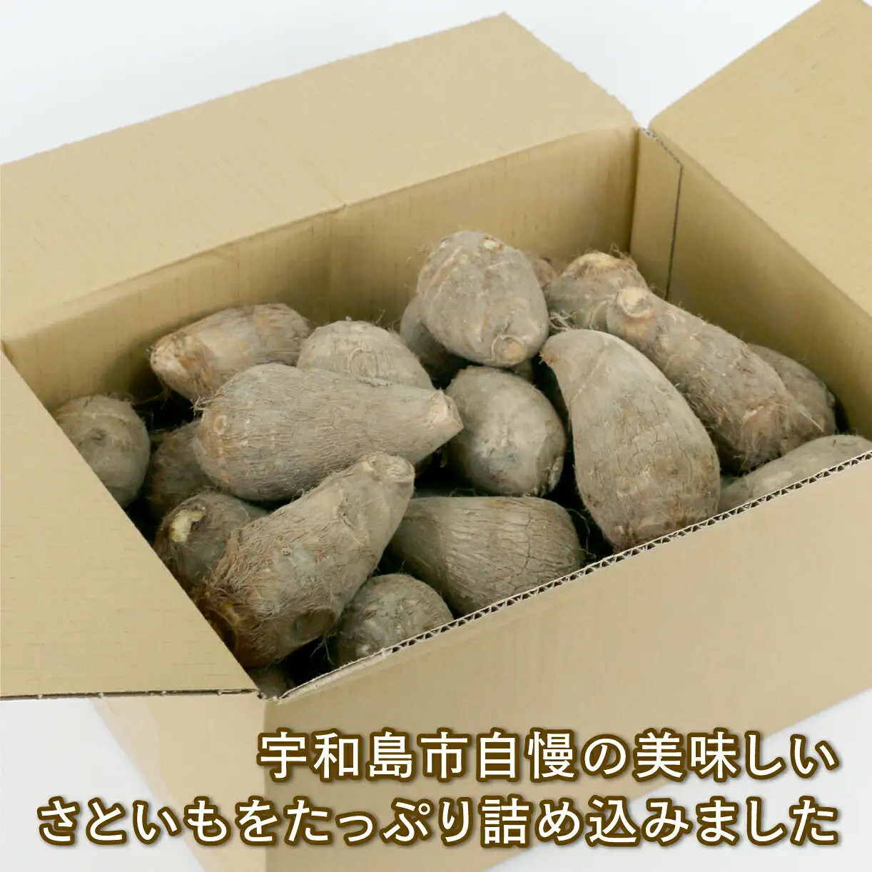 里芋 5.2kg さといも サイズ 不揃い 御槇米生産協議会 里芋愛媛宇和島 F012-018001