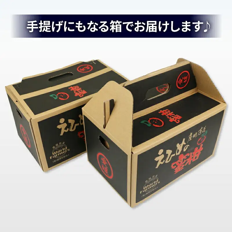 【米】温州みかん小玉約3kg伊達米コシヒカリ3kgWF│B012-024003