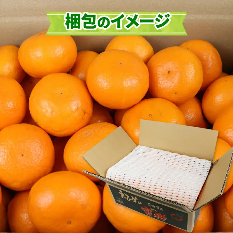 【柑橘】はれひめ4kgWF柑橘B012-024005