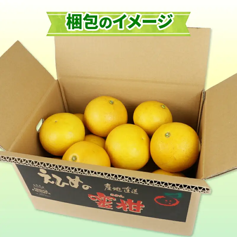 ﾜｰﾙﾄﾞﾌｧｰﾏｰｽﾞ 家庭用 土佐文旦 4kg 文旦 B010-024008