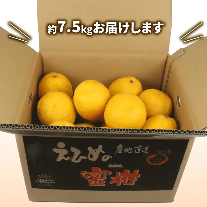 愛媛みかん 河内晩柑 7.5kg WF 愛媛みかん B012-024010