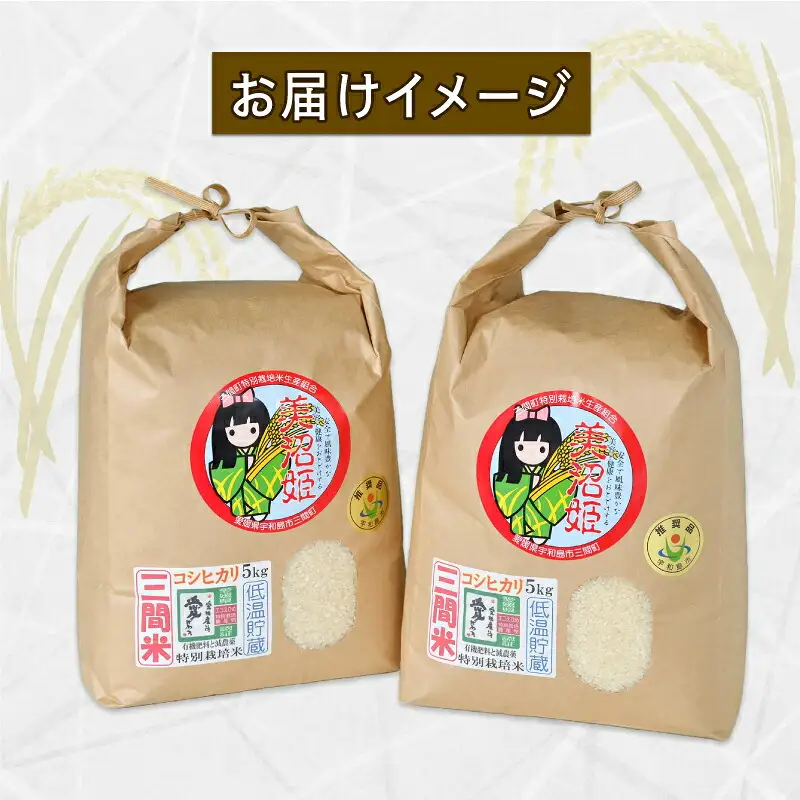 特別栽培米 コシヒカリ 計 10kg 令和7年度産 三間町特別栽培米生産組合 美沼姫 お弁当 おにぎり 玄米 対応可 ふっくら ツヤツヤ 甘い 三間米 米 国産 愛媛 宇和島 G030-032001