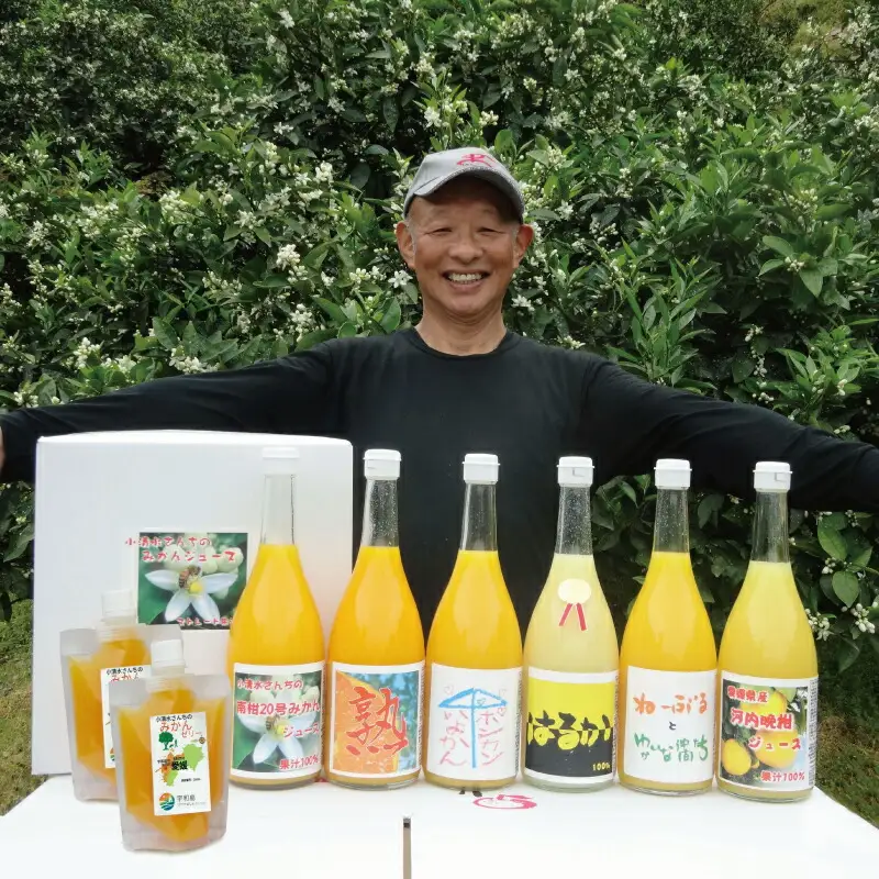 みかんジュース ゼリー 小清水農園 みかんジュース H025-033003