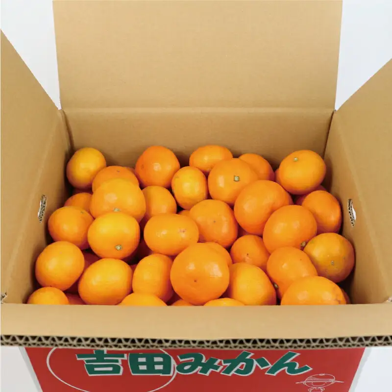 愛媛みかん 9kg 早生温州 家庭用 つばさ農園 温州 B010-048005