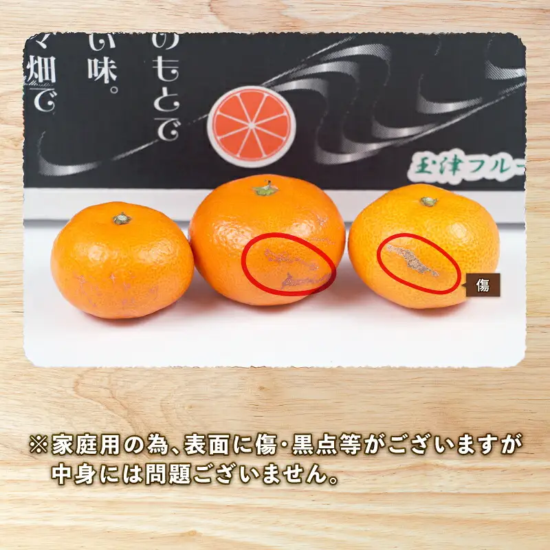  【 みかん 】みかん南柑20号10kg家庭用上杉果樹園|B012-056002