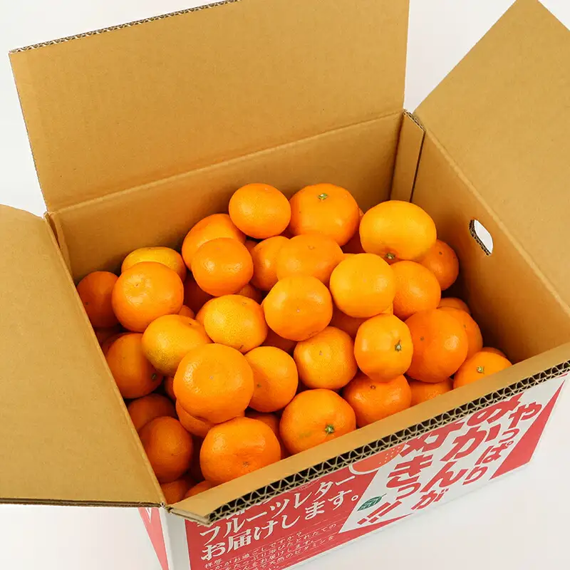 贈答用 優品 愛媛 みかん 早生 温州 10kg サイズ不揃い NBU B018-058004