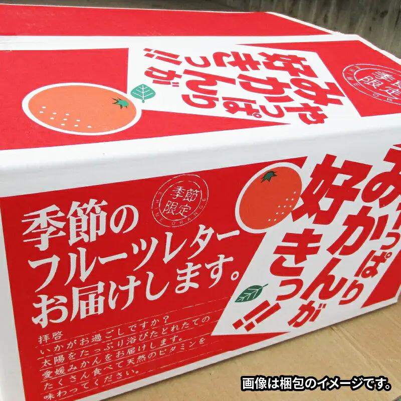 【定期便】みかん定期便柑橘3回NBU |B050-058007 みかん