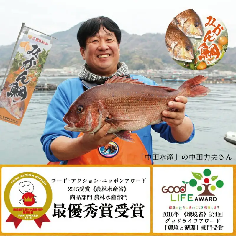みかん 真鯛 刺し身 1尾 4節 宇和島プロジェクト 刺し身 D022-071004