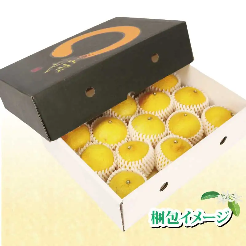【果物】媛小春約2kg特選矢野青果果物みかん蜜柑|B015-171040