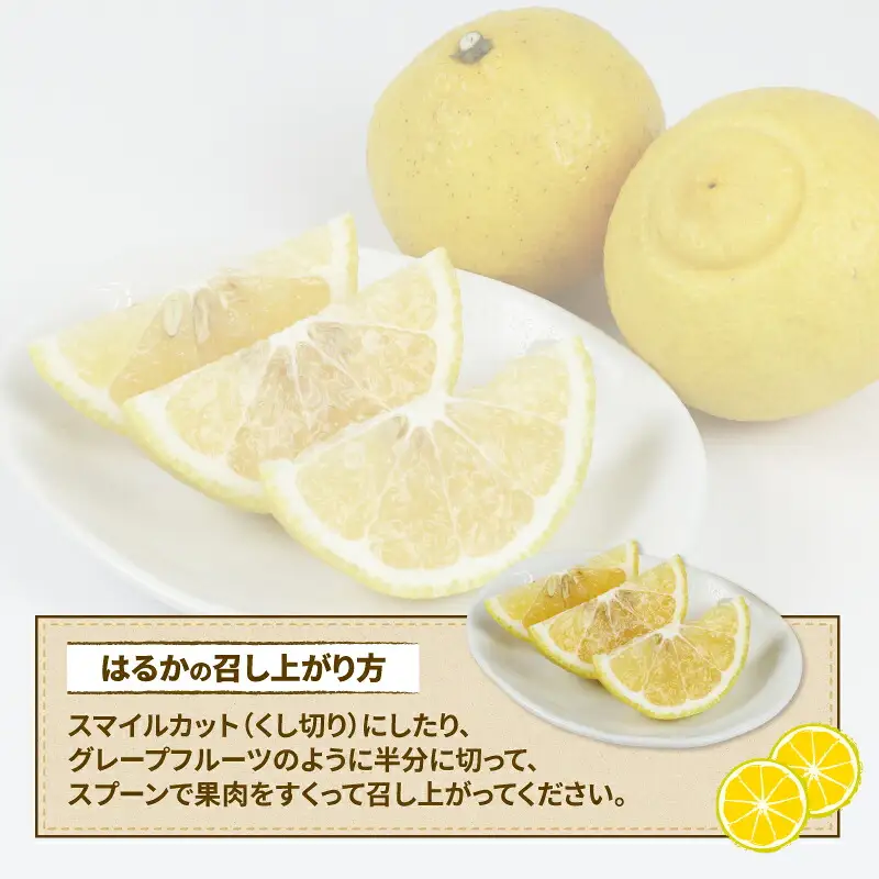 訳あり はるか 5kg マル南フルーツ はるか B012-106003