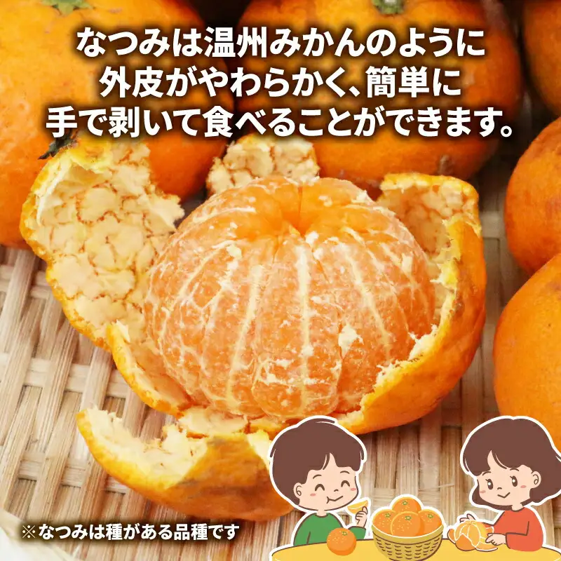 訳あり なつみ みかん 5kg マル南フルーツ 訳ありみかん B010-106012