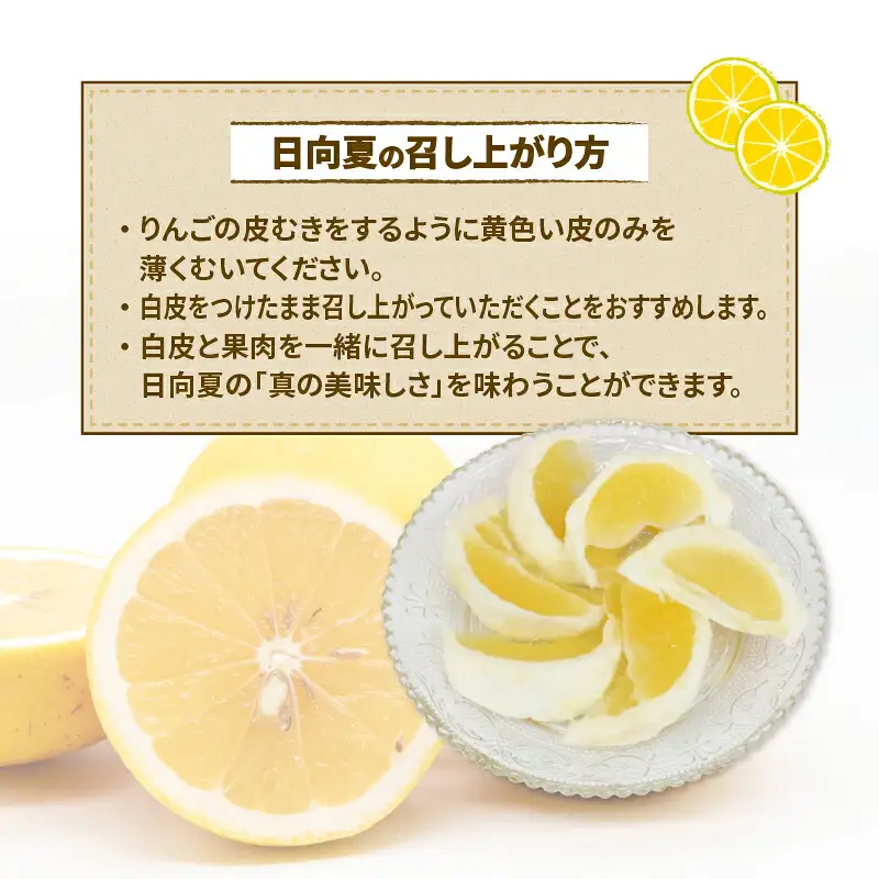 訳あり 日向夏 5kg マル南フルーツ 日向夏 B010-106013