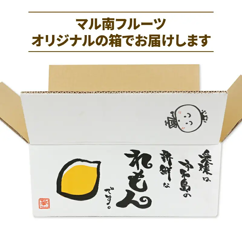 国産レモン 檸檬 レモン 訳あり グリーンレモン 5kg マル南フルーツ 先行予約 remon 愛媛県産レモン わけあり れもん 檸檬 レモン果汁 酸味 高級 希少 安心 果物 くだもの ビタミン 健康 フルーツ 訳アリ 訳あり品 柑橘 産地直送 数量限定 国産 愛媛 宇和島 B010-106016
