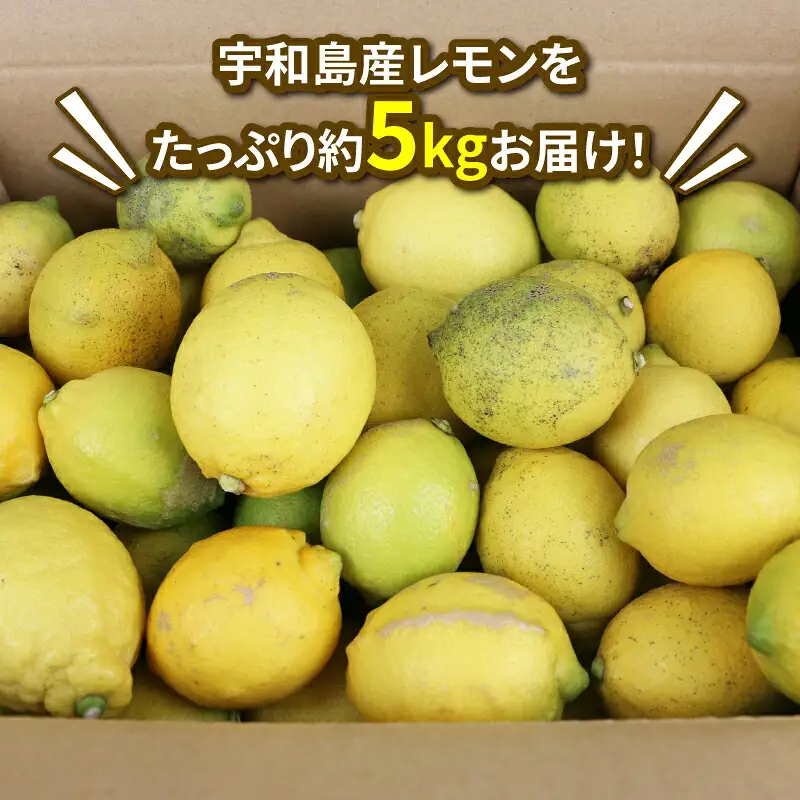 訳あり 檸檬 5kg マル南フルーツ 檸檬 B010-106020