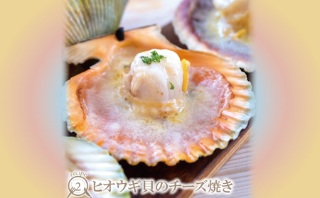 海の幸 ヒオウギ 貝 50個 羽根 BBQ 網焼き 二枚貝 貝柱 檜扇貝 ヒオウギ貝 海鮮 海産物 海 特産品 うま味 旨味 おつまみ アヒージョ チーズ バター 醤油 焼き アレンジ アウトドア キャンプ カラフル レシピ 産地直送 国産 愛媛 宇和島 D020-110003