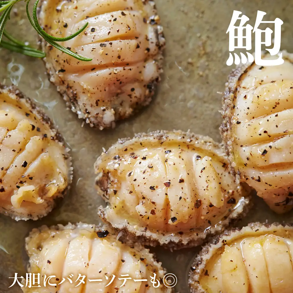 冷凍 むき アワビ 2袋セット 【斎藤水産】 AM068