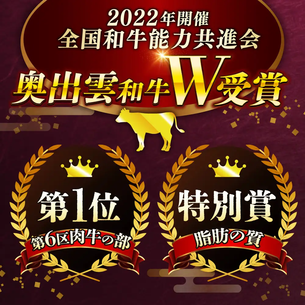 奥出雲和牛 サーロインステーキ 600g / ステーキ [AIBQ004]