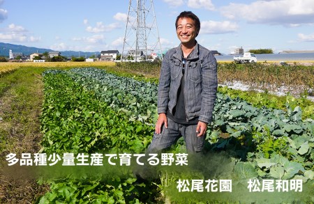 CC004_【6回定期便】かずちゃんの朝採り新鮮野菜セット毎月 6回お届け みやき町産