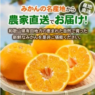 【先行予約】 家庭用 はるみ 訳あり 2.5kg+250g（傷み補償分）/ 春 みかん 光センサー選別 ※2027年2月上旬〜3月下旬ごろに順次発送予定 ※北海道・沖縄・離島への配送不可  【ikd013-c-2d5B】