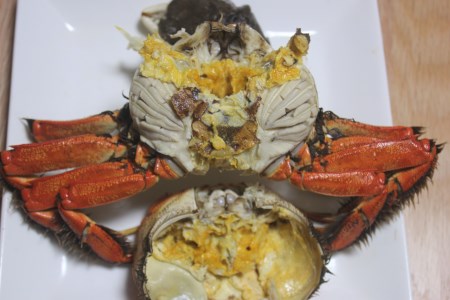 【期間限定】天然活きモクズガニ 約1kg（6～10匹、オス・メス混合） ネットに入れてお届け 下処理不要 調理レシピ付き AB4027　 