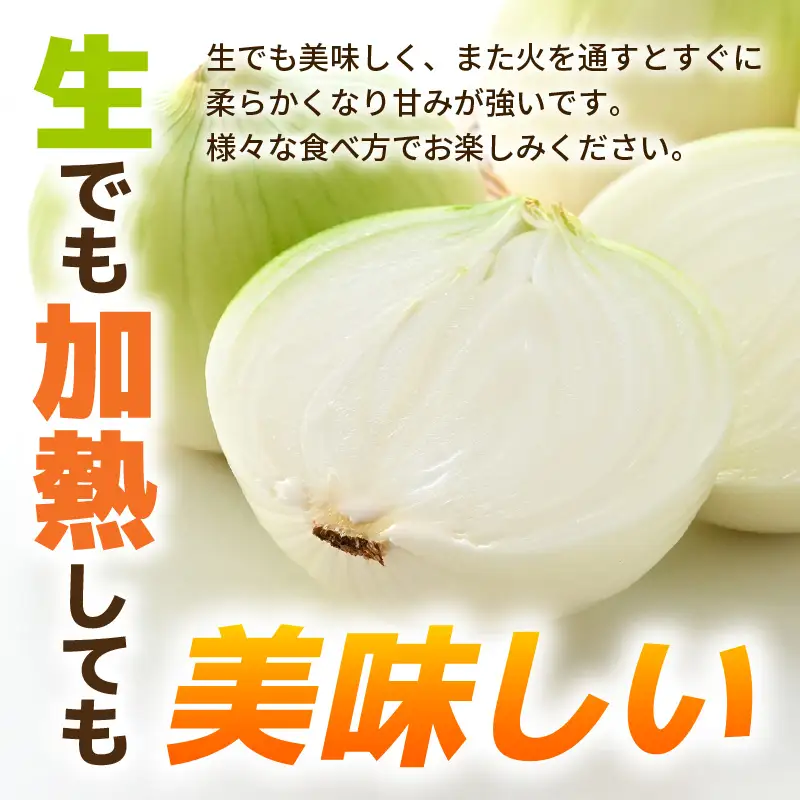 【先行予約】採れたて 新玉ねぎ 5kg（サイズ S M L ミックス）田んぼで育てた甘くて柔らか自慢の玉ねぎ！／ 常備 野菜 玉葱 たまねぎ 新鮮 ※2027年6月上旬以降順次発送予定  [aw056-a019]
