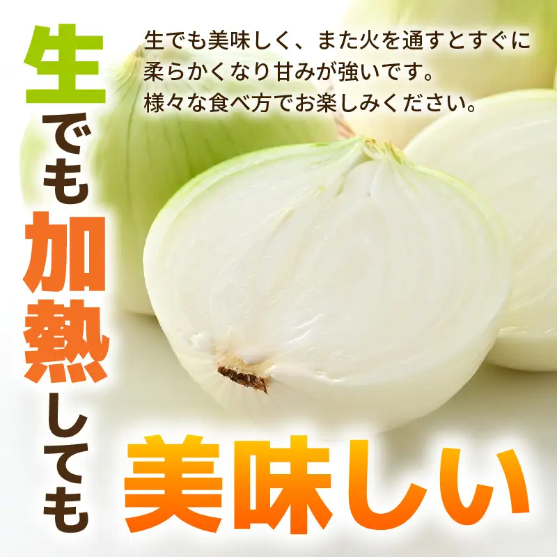 【先行予約】採れたて 新玉ねぎ 10kg（サイズ S M L ミックス）田んぼで育てた甘くて柔らか自慢の玉ねぎ！／ 常備 野菜 玉葱 たまねぎ ※2027年6月以降順次発送予定 [aw056-a020]