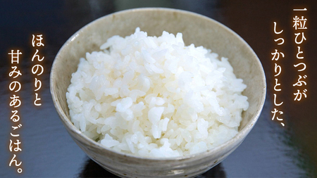 【R6年9月下旬より発送】【 マイスター おすすめ！ 究極 の ブレンド米 】 精米 5kg 三百年 続く 農家 の 有機 特別 栽培 コシヒカリ × 有機 特別 栽培 もち米 モチ 茨城産 茨城県産 国産 国産米 新生活 プレゼント 新生活応援 必要なもの 便利 おすすめ 消耗品 一人暮らし 二人暮らし 必要