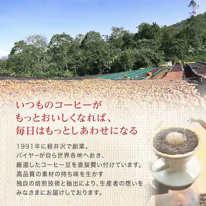 コーヒー 丸山珈琲 カフェラテベース 2本セット