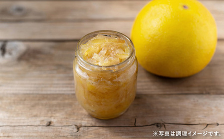 土佐文旦 10kg 家庭用 文旦
