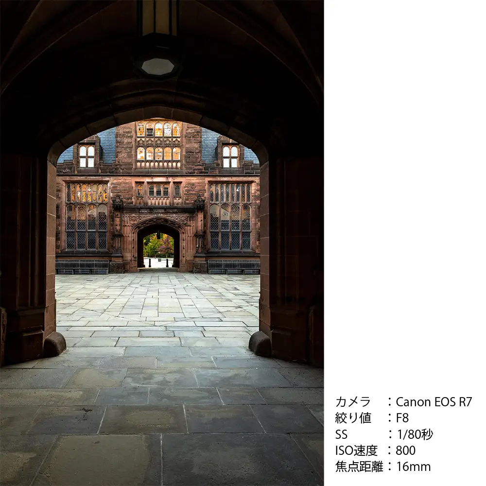 SIGMA 16mm F1.4 DC DN | Contemporary【キヤノンEF-Mマウント】カメラ　レンズ　家電