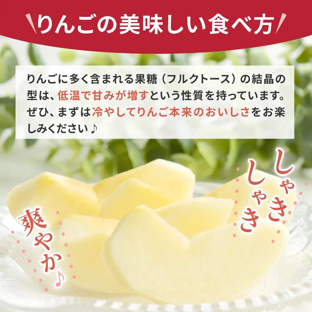 りんご　訳あり約5kg早生ふじ【2026年10月上旬発送】りんご