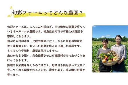 都内マルシェで人気のお野菜！サラダに最適！葉野菜とミニ根菜のセット 5袋 F21R-208