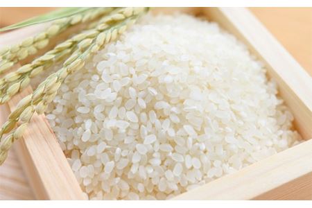 ＜定期便＞白河市産コシヒカリ精米10kg×3ヶ月連続 米 お米 コメ ごはん ご飯 食品 F25R-014