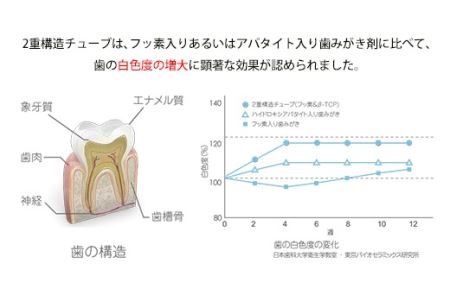 ＜歯磨き粉＞美しい歯のためにＷの効果、2層チューブ歯磨き粉「デンタパールW」 F21R-602