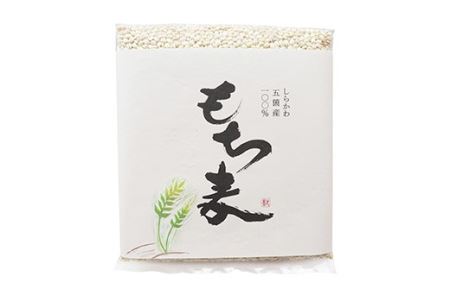 おいしい五箇沃野の米（こしひかり）2.5kgともち麦（六条大麦）300gセット F21R-760